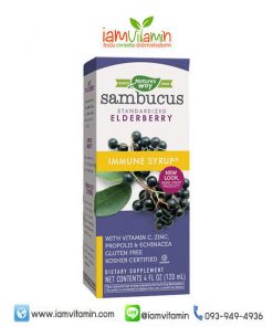 Nature's Way Sambucus Immune Syrup 120ml